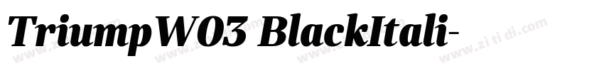 TriumpW03 BlackItali字体转换